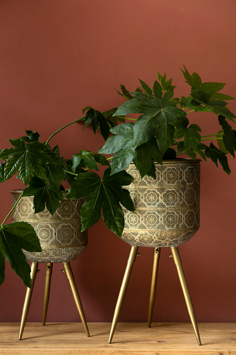 Botanique Plant Stand