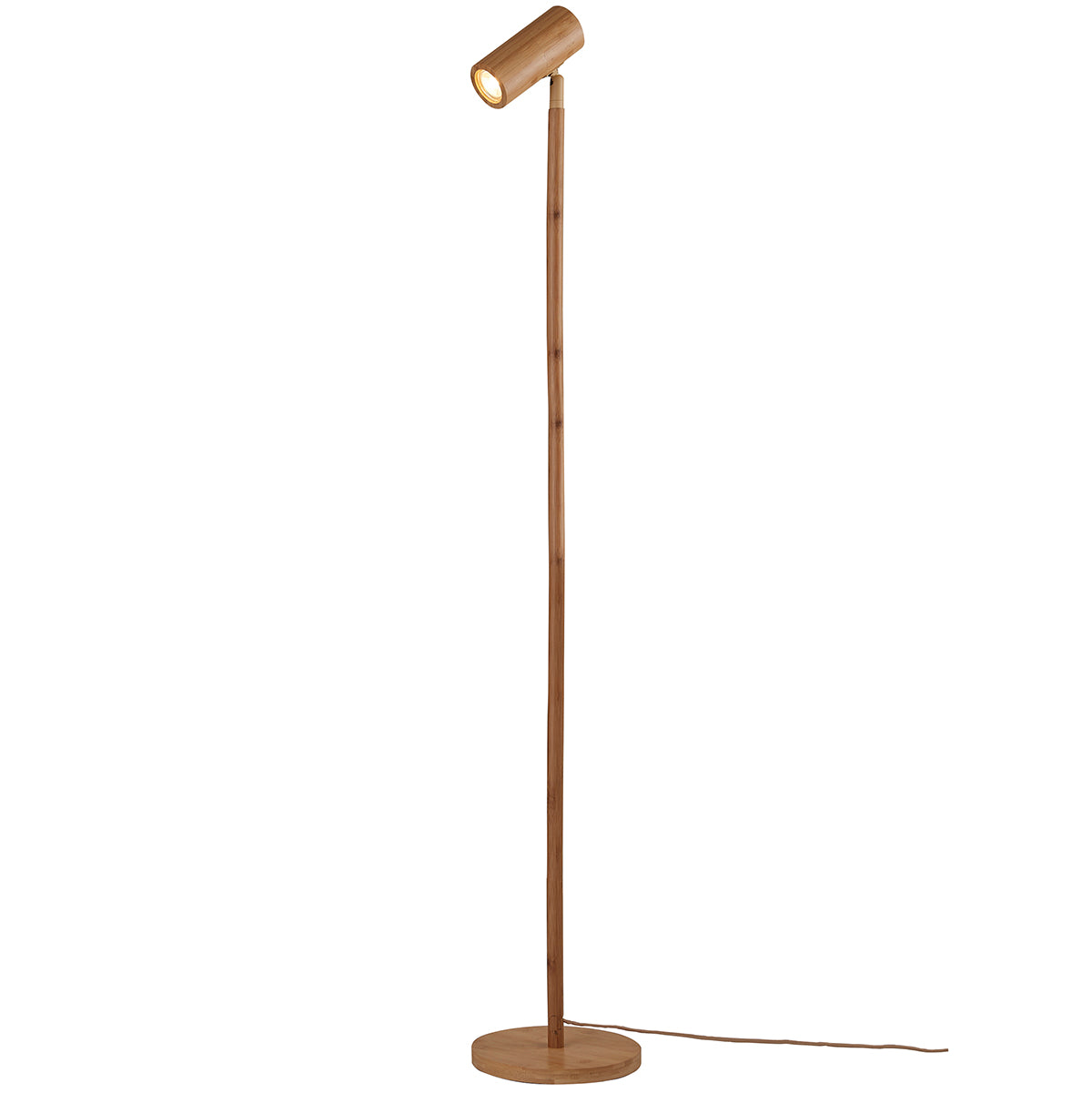 Java LED Floor Lamp