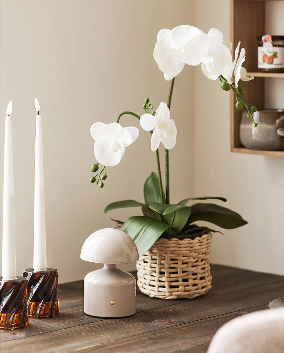 Aulla Table Lamp