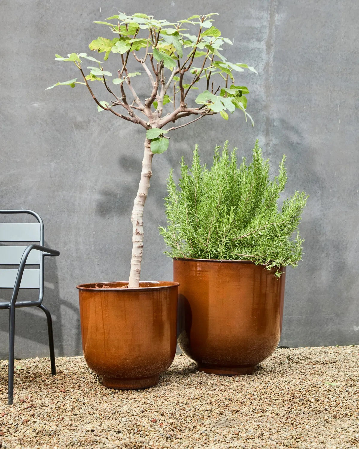 Cove Brown Planter (2/Set)