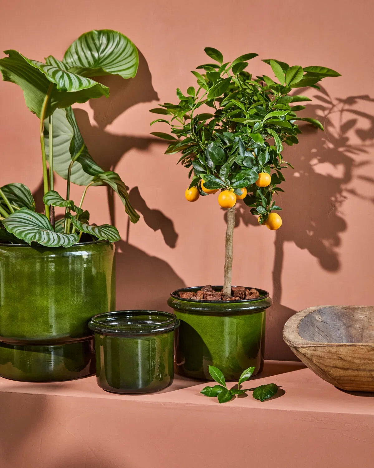 Hoop Green Planter (2/Set)