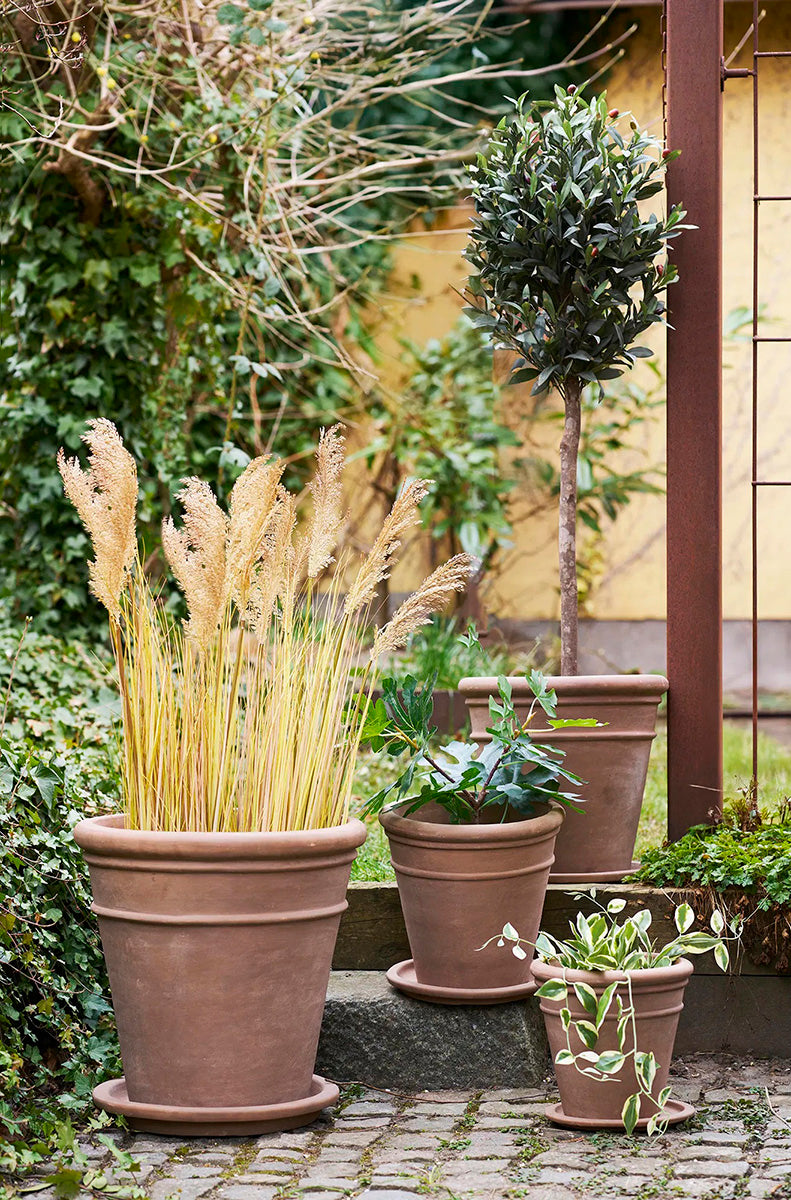 Stockport Brown Pots (4/Set)