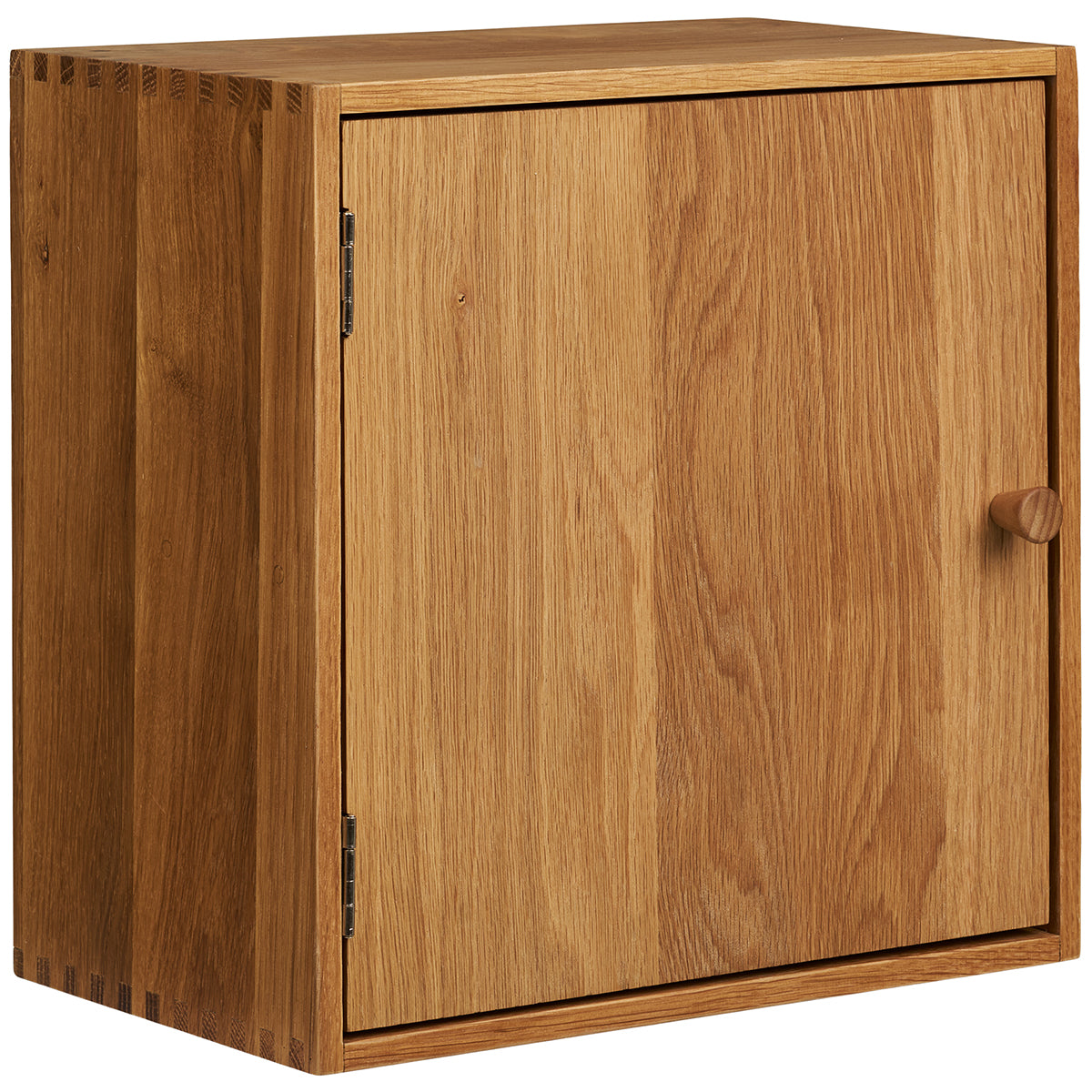 Townsville Oak Wood Wall Shelf with Door