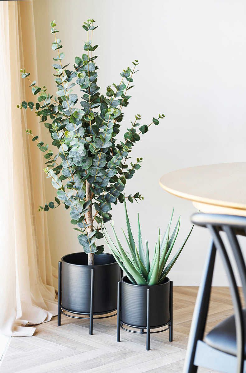 Zoe Black Flowerpots (2/Set)