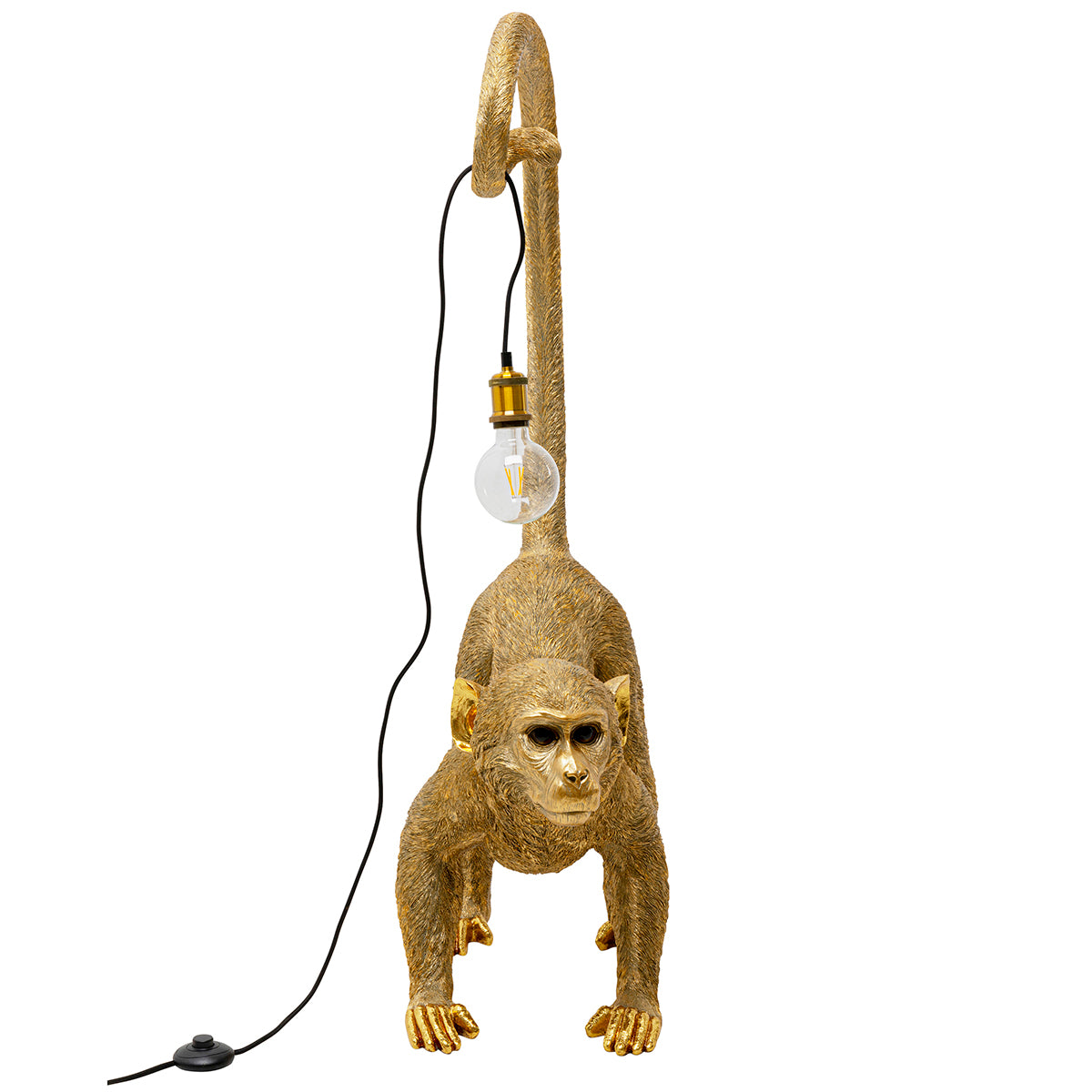 Monkey Dance Ground Light