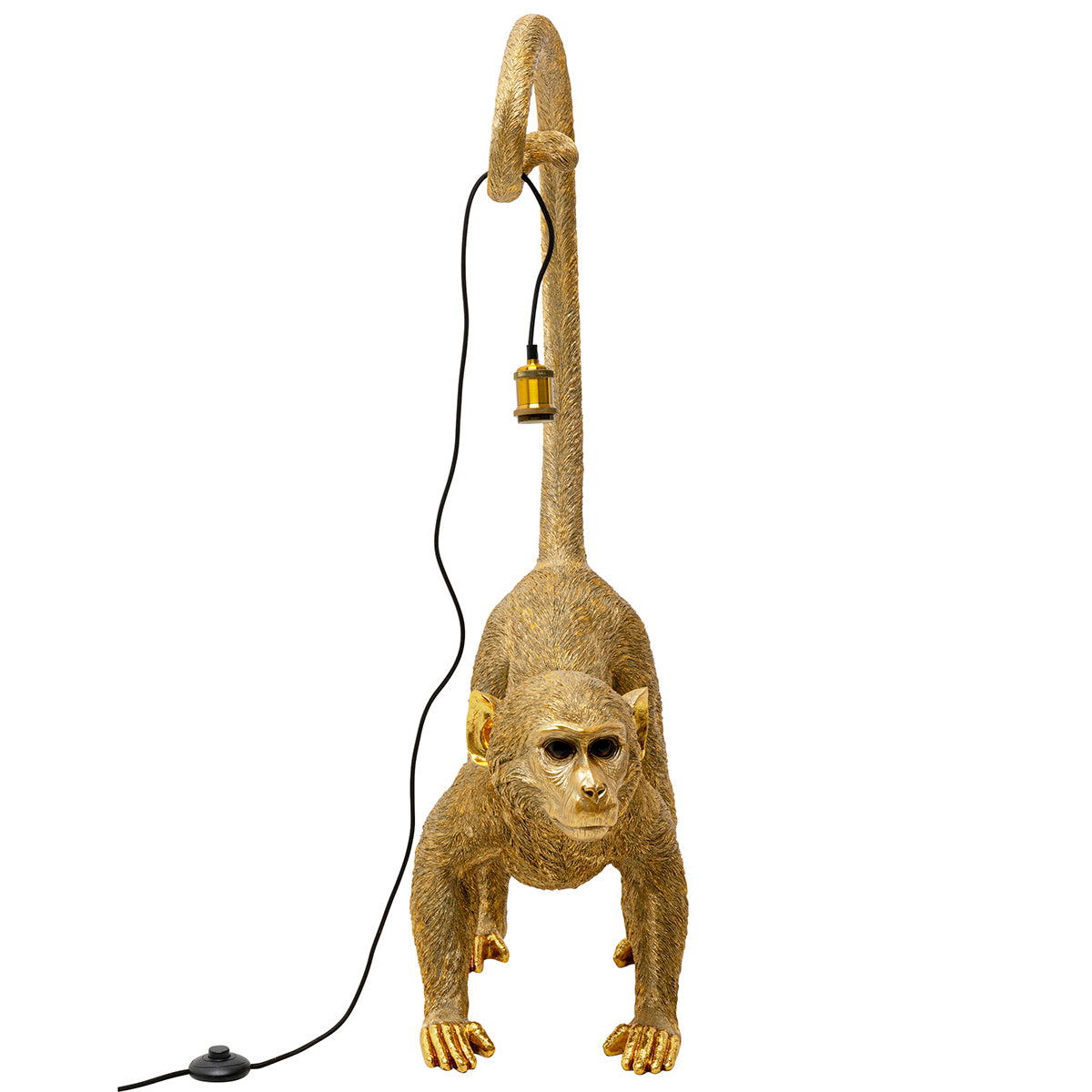 Monkey Dance Ground Light