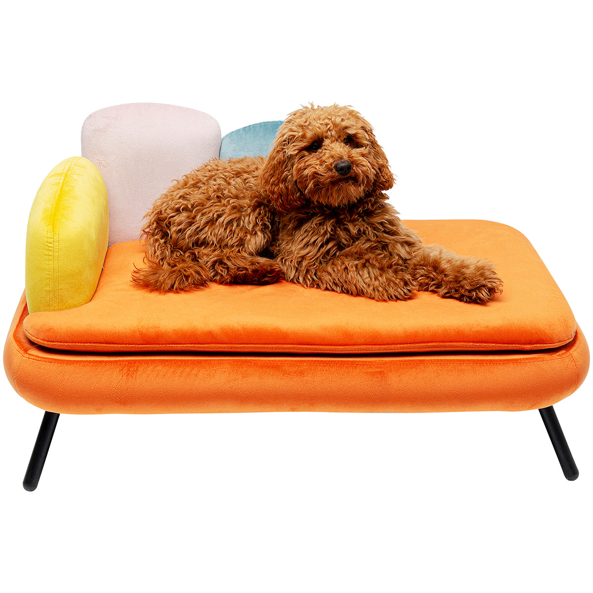 Diva Orange Dog/Cat Bed