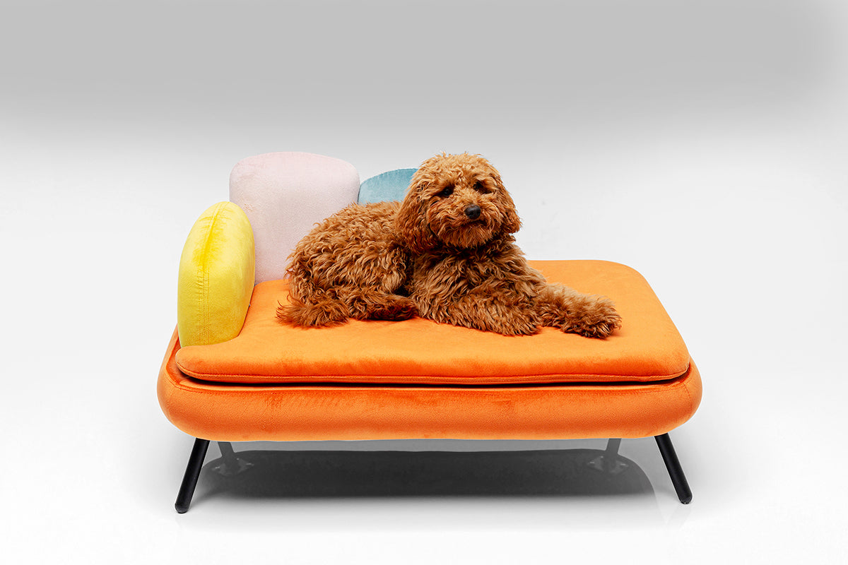 Diva Orange Dog/Cat Bed