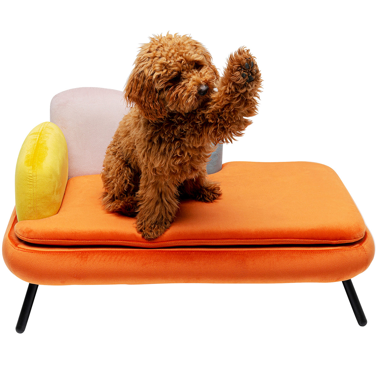 Diva Orange Dog/Cat Bed