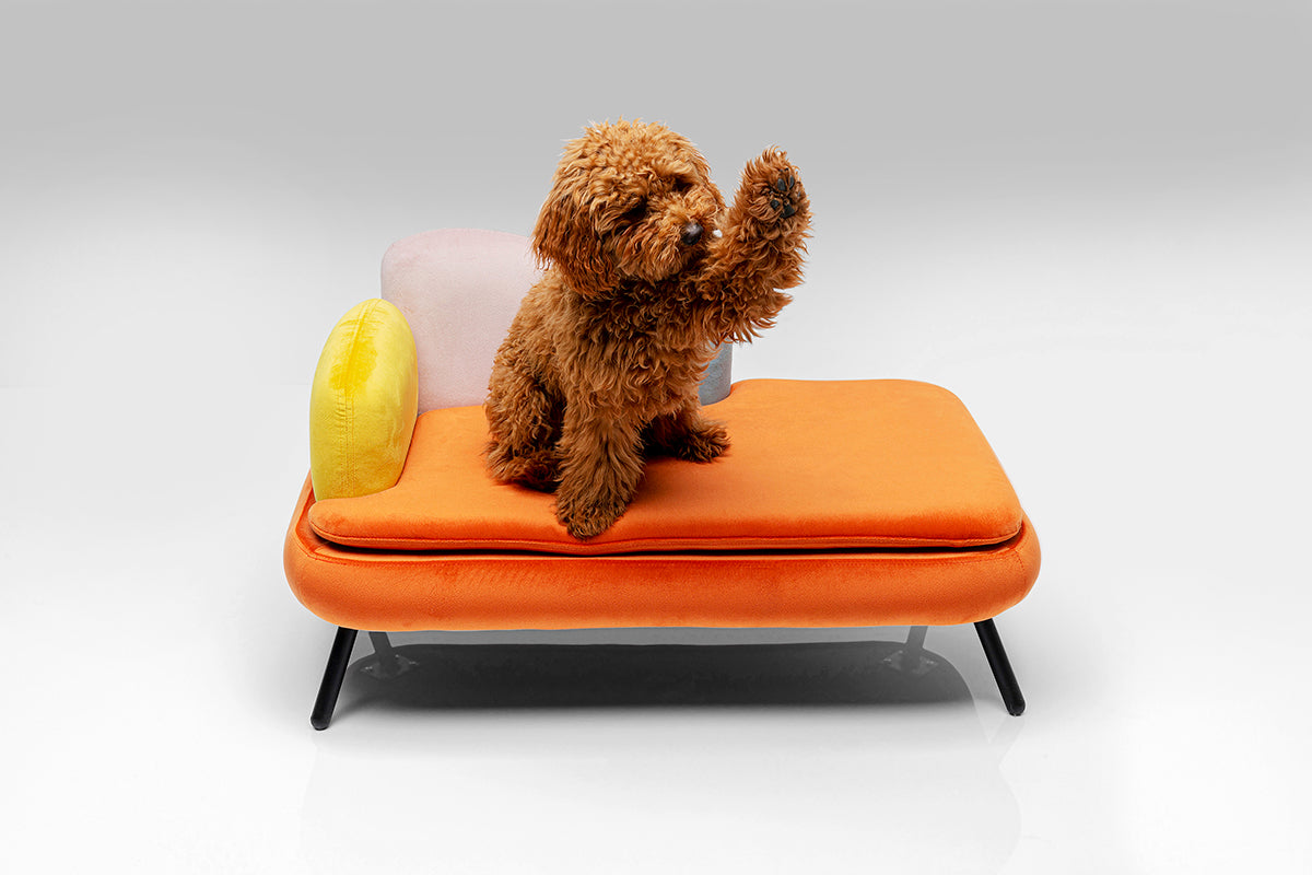 Diva Orange Dog/Cat Bed