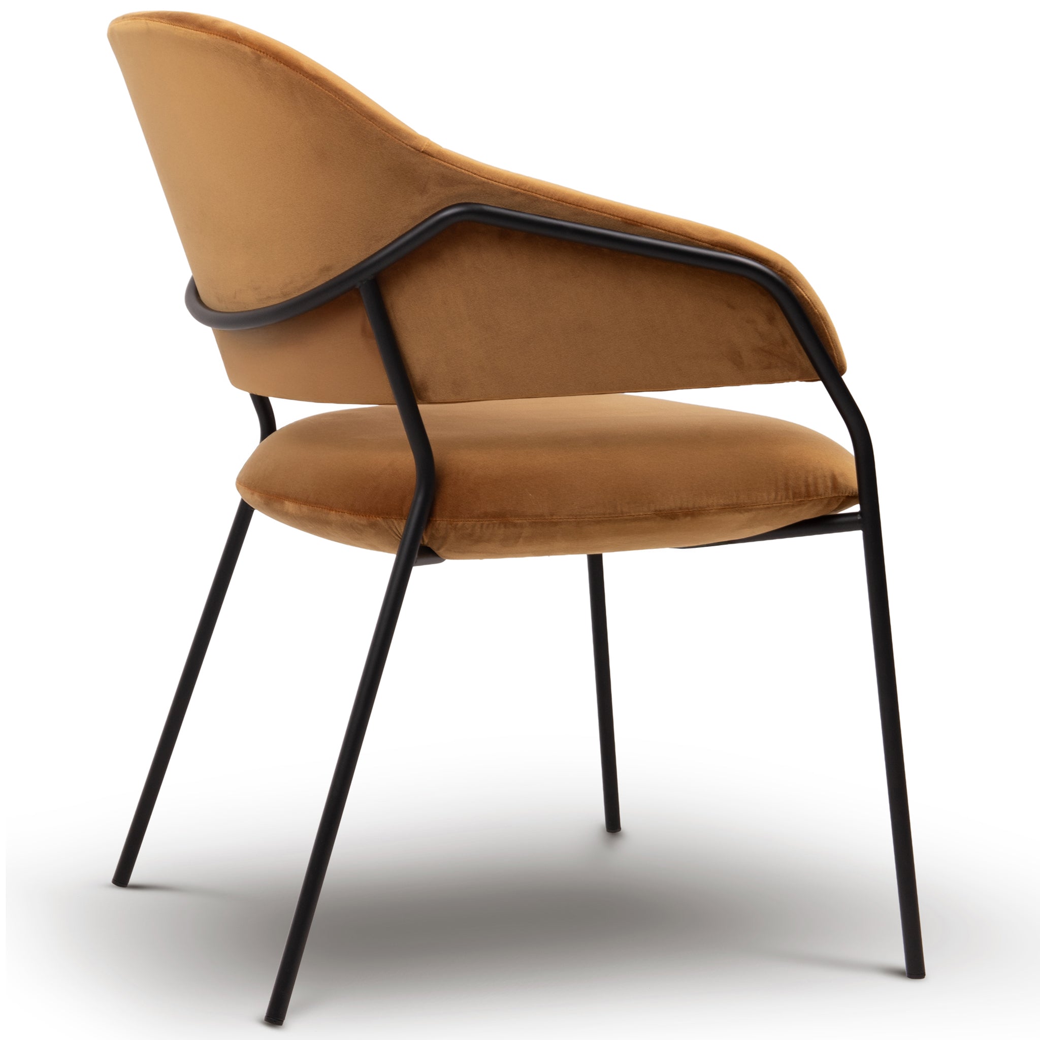 Elo Chair