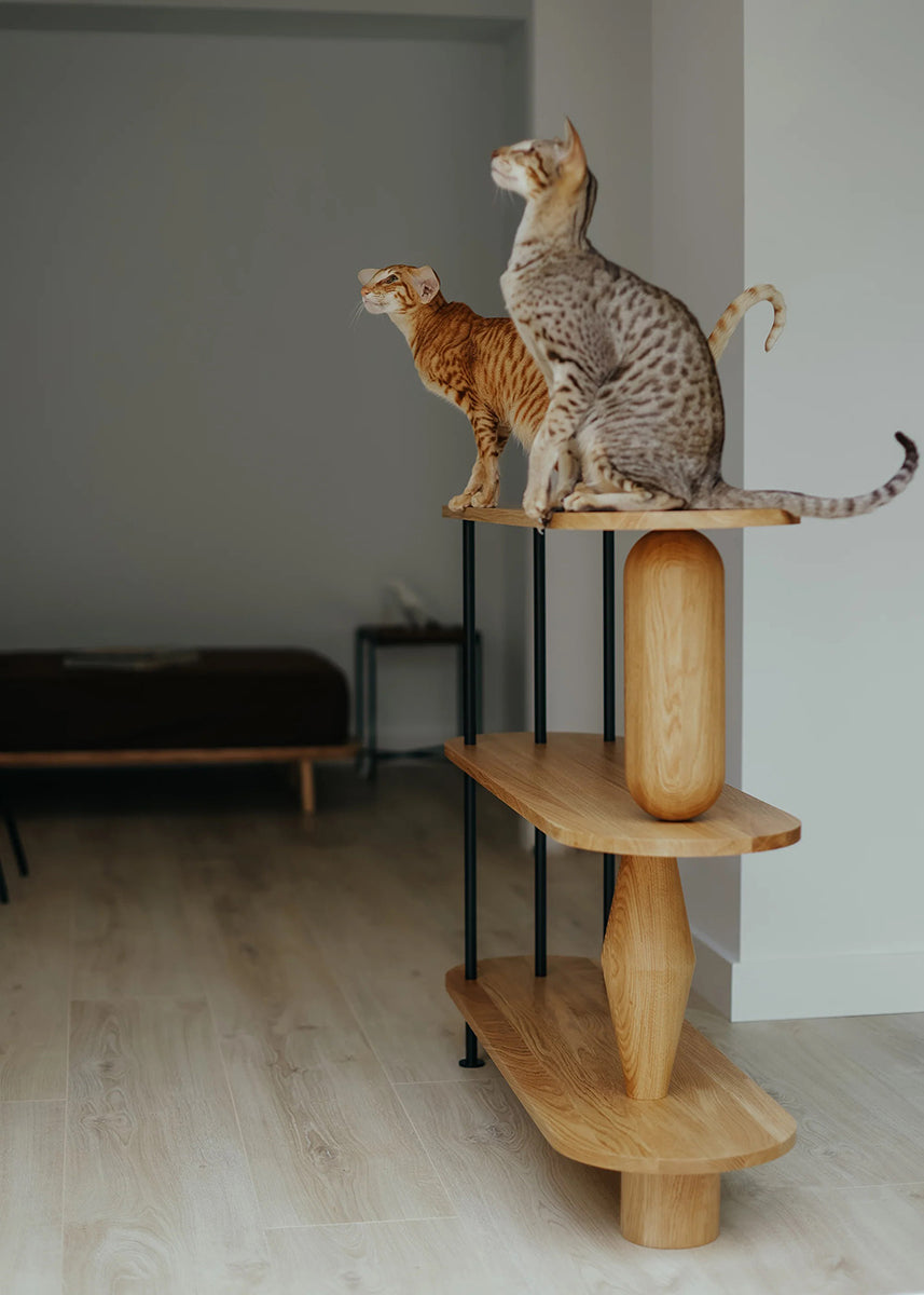 Vazoo 4 Oak Wood Bookcase