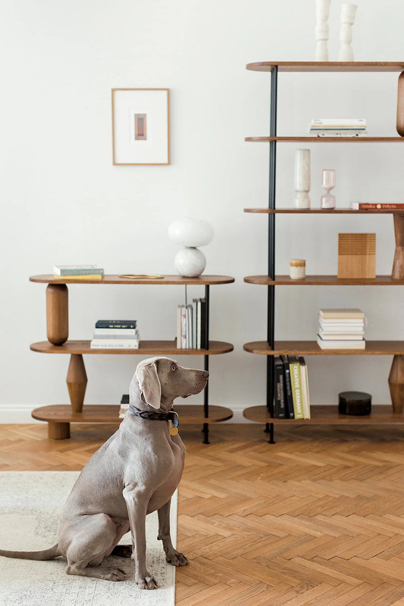 Vazoo 6 Oak Wood Bookcase