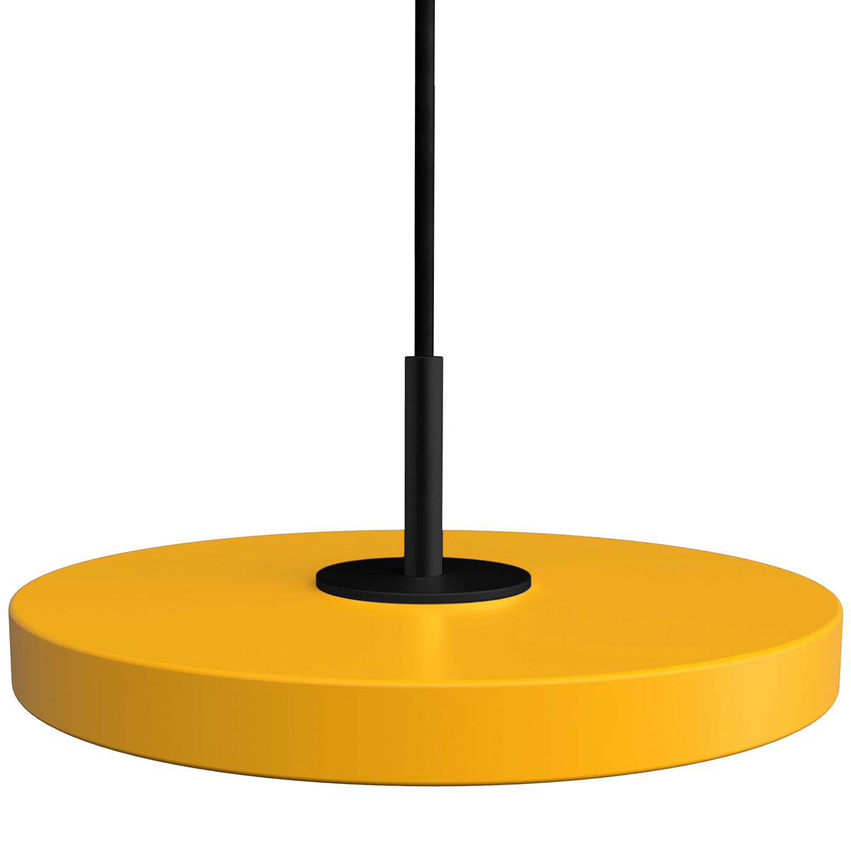 Asteria Micro Pendant Lamp