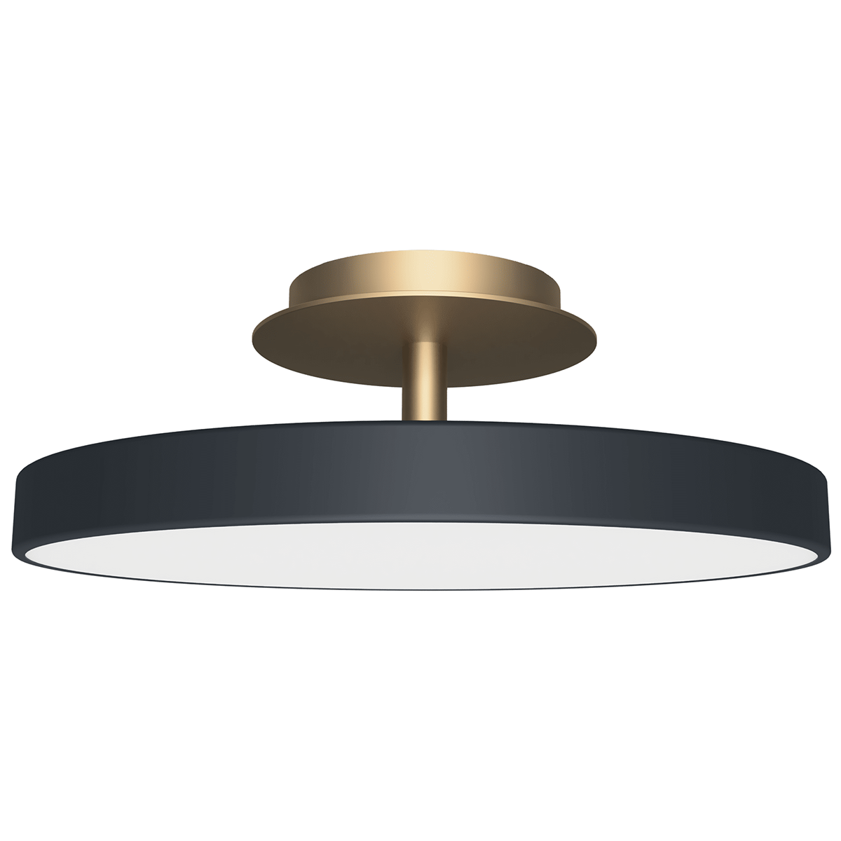 Asteria Up Plus Ceiling Lamp
