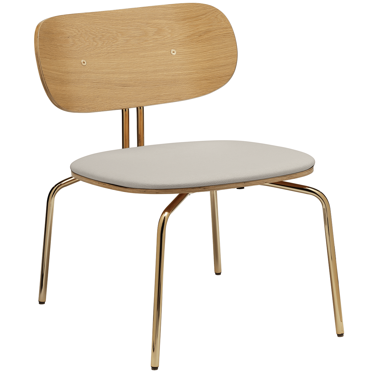 Curious Lounge Chair with Cushion