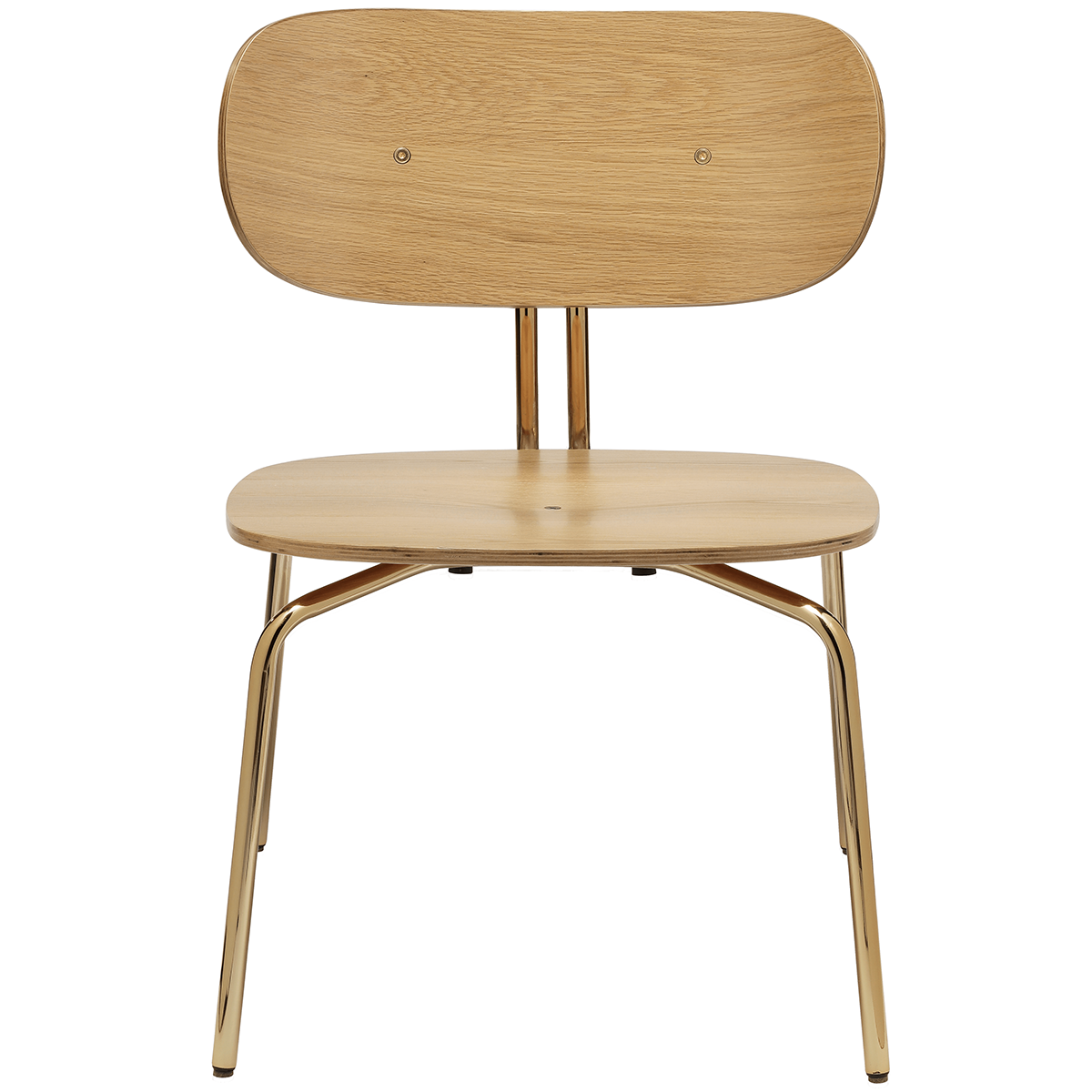 Curious Lounge Chair