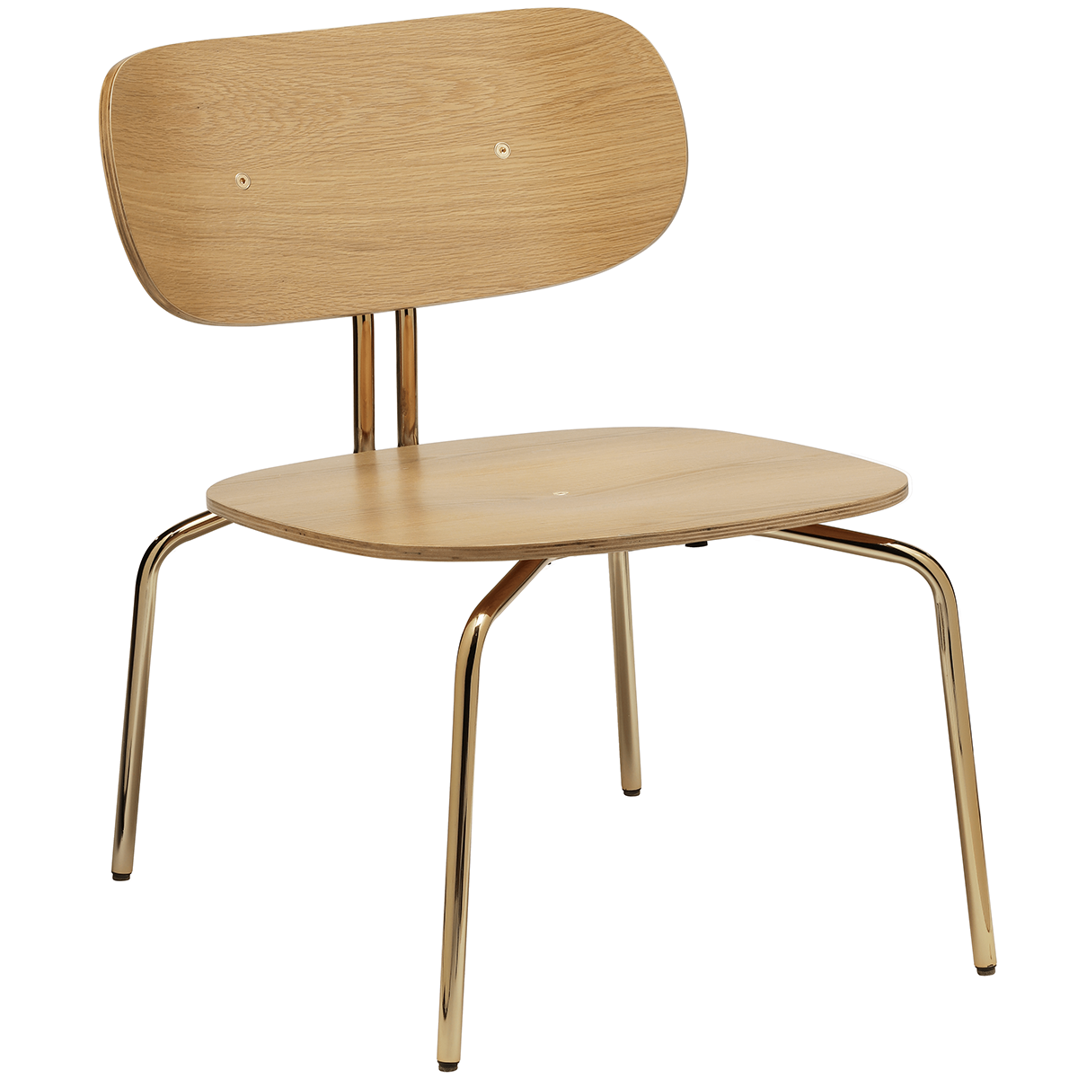 Curious Lounge Chair