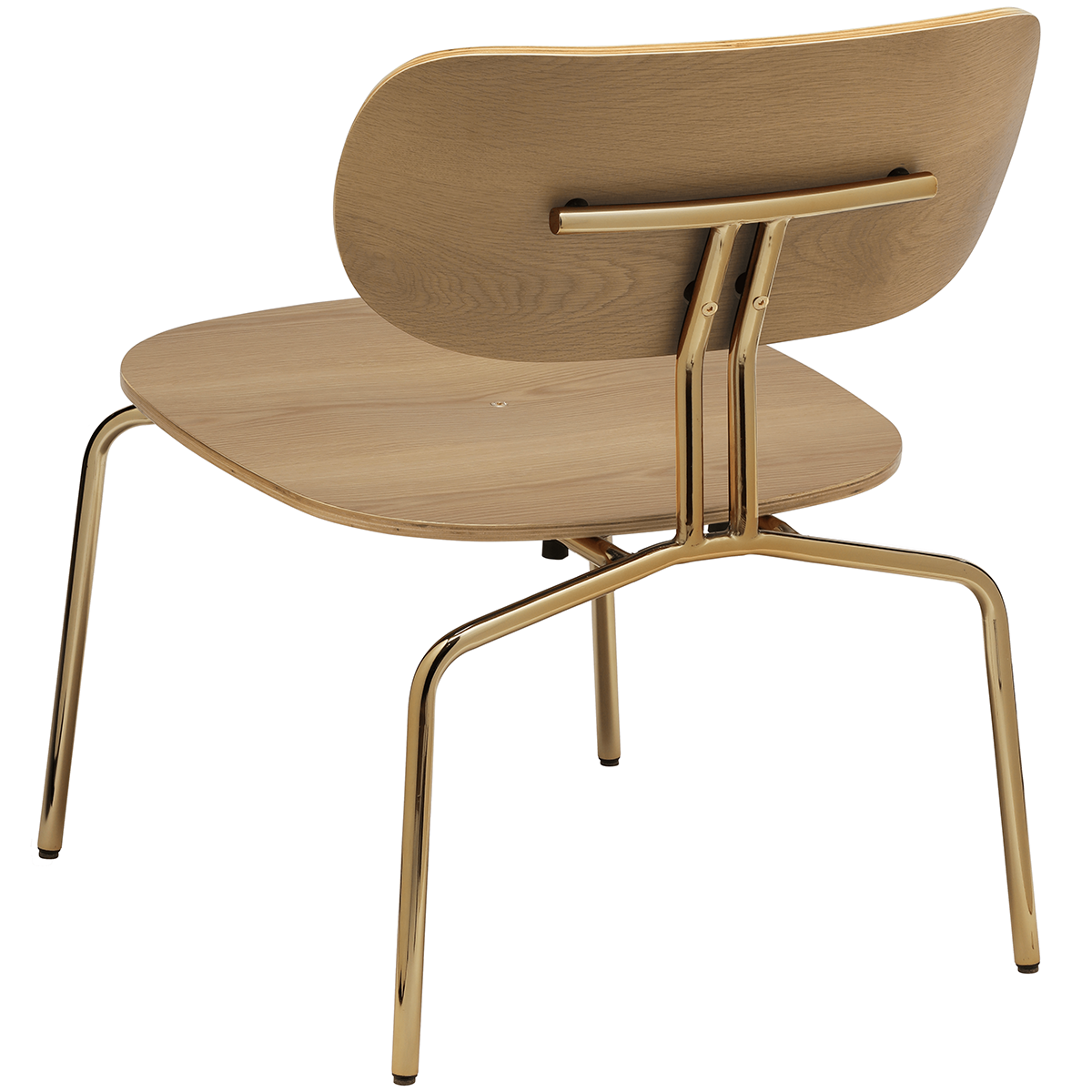 Curious Lounge Chair