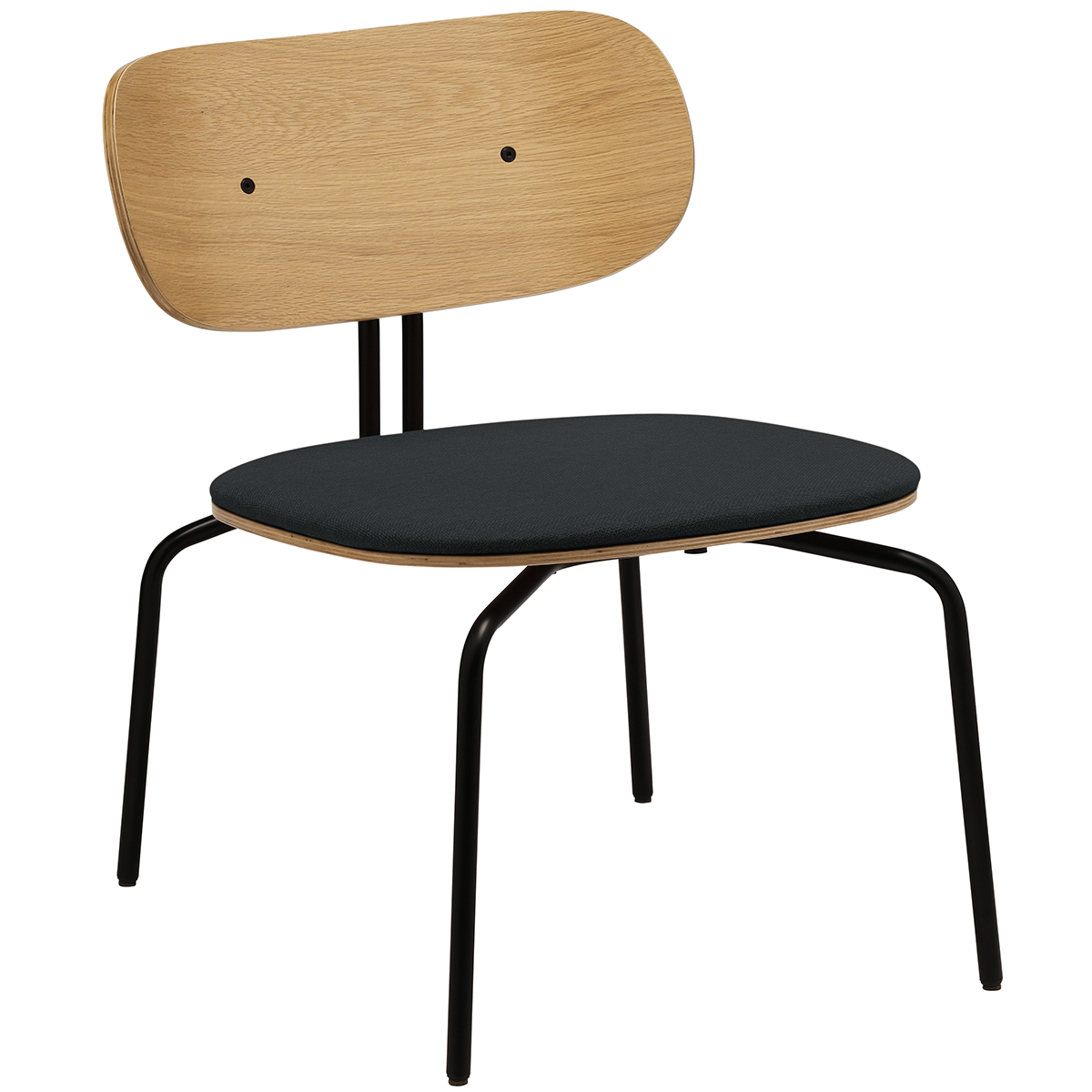 Curious Lounge Chair with Cushion Black Shadow