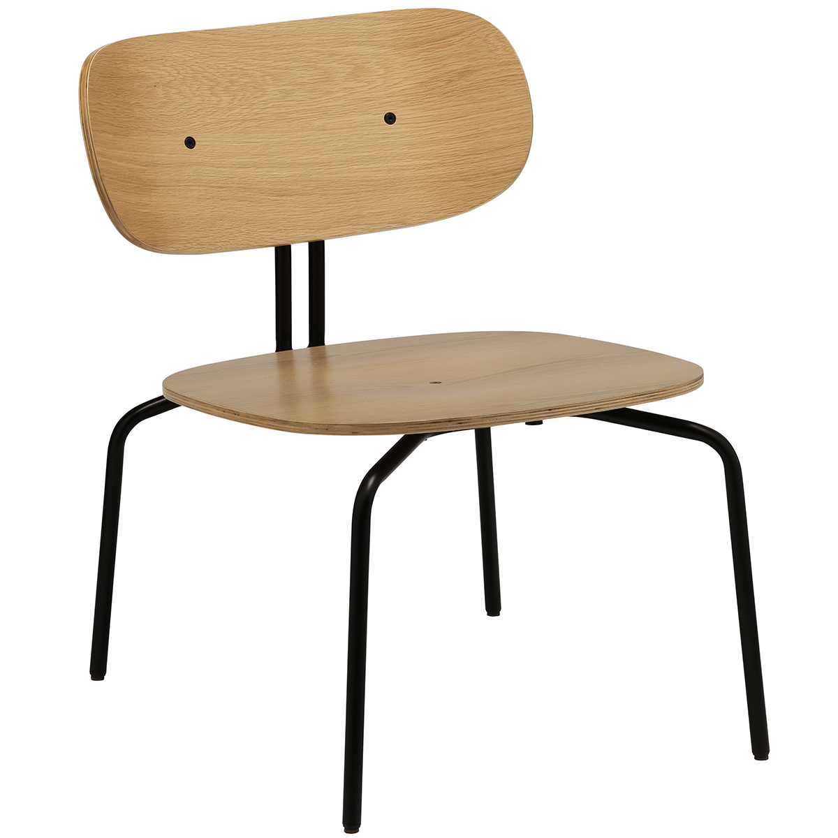 Curious Lounge Chair
