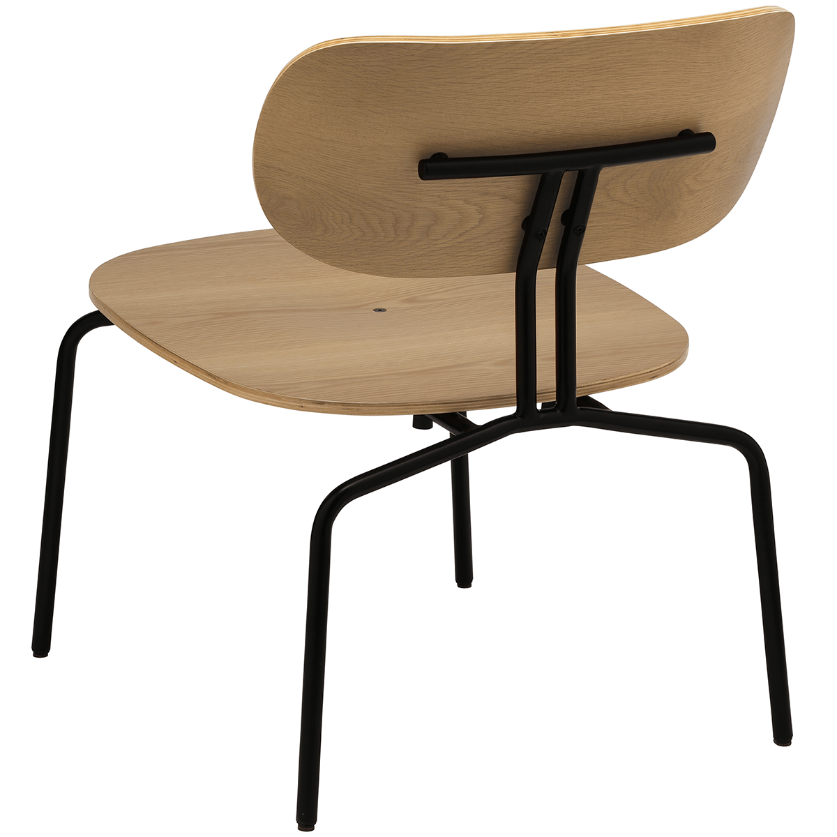 Curious Lounge Chair