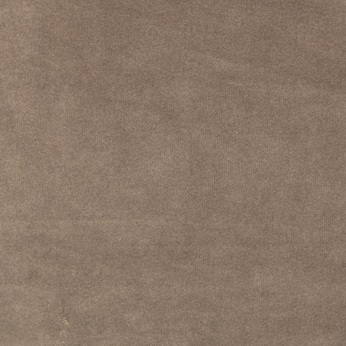 Admit Khaki Velvet Dining Chair