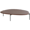 Kota Brown Coffee Table