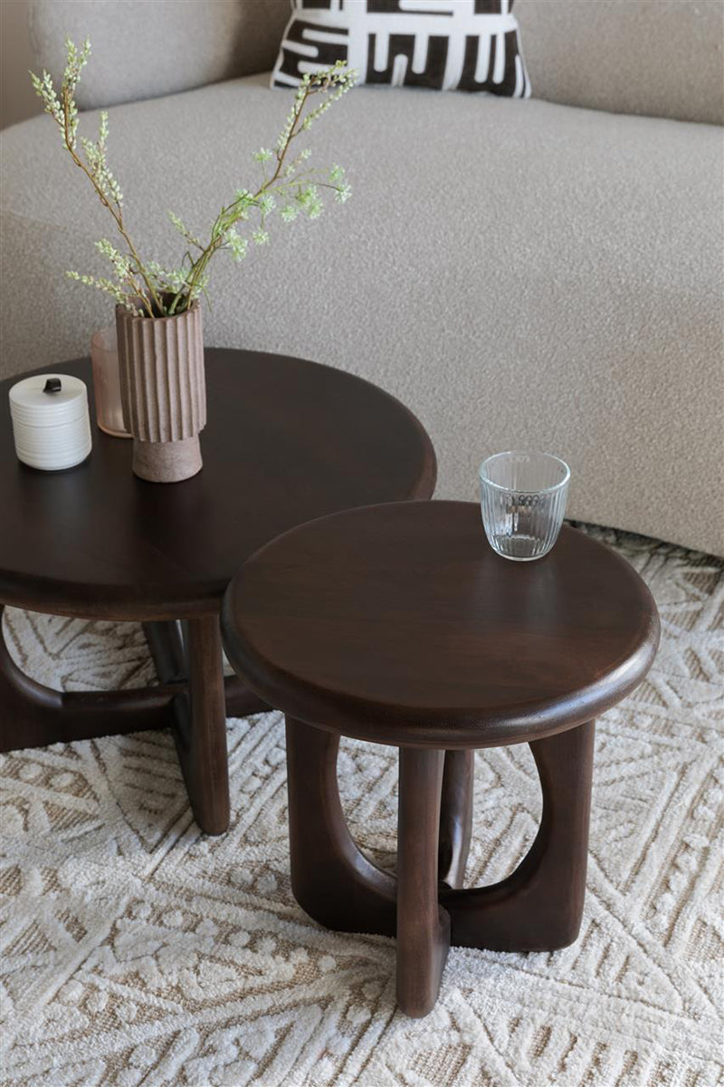 Jani Mango Wood Side Table