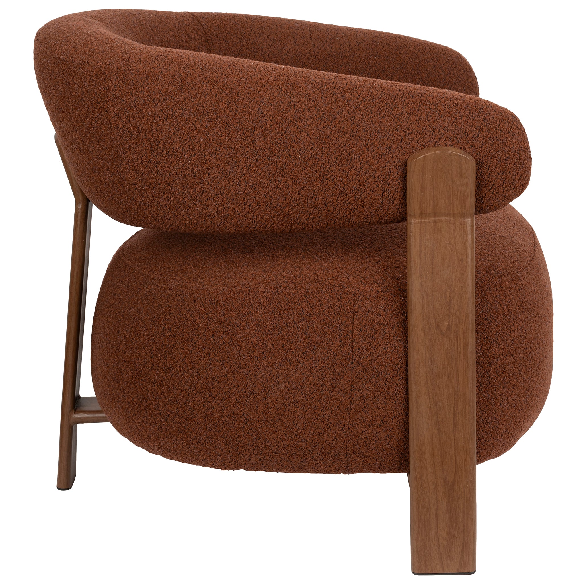 Robyn Brown Lounge Chair