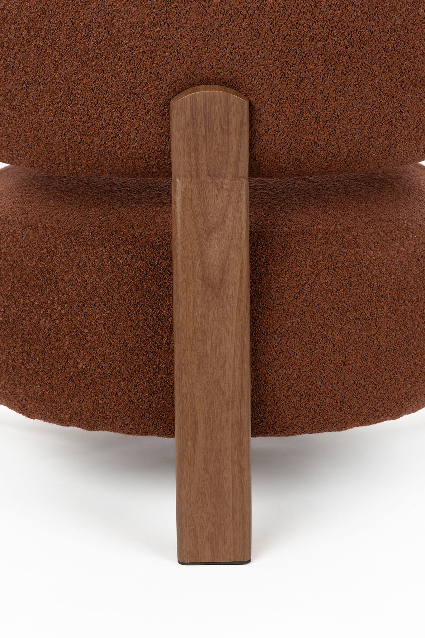 Robyn Brown Lounge Chair