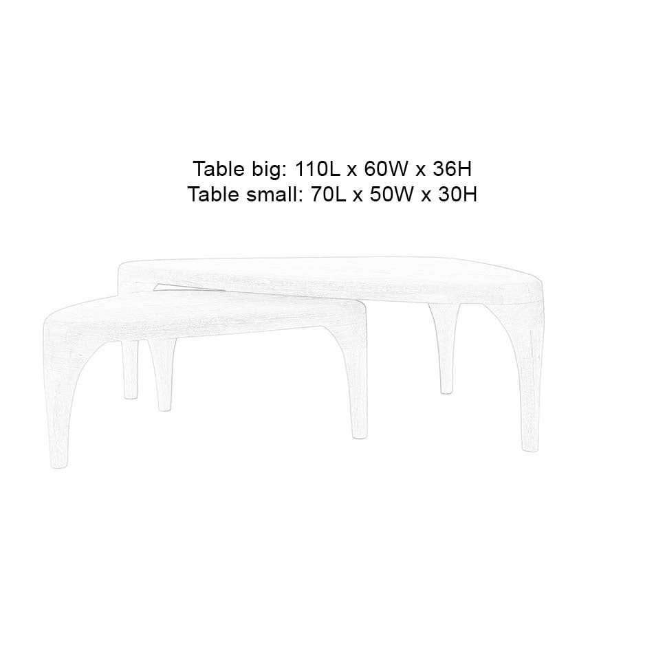 Isla Coffee Table (2/Set) - WOO .Design