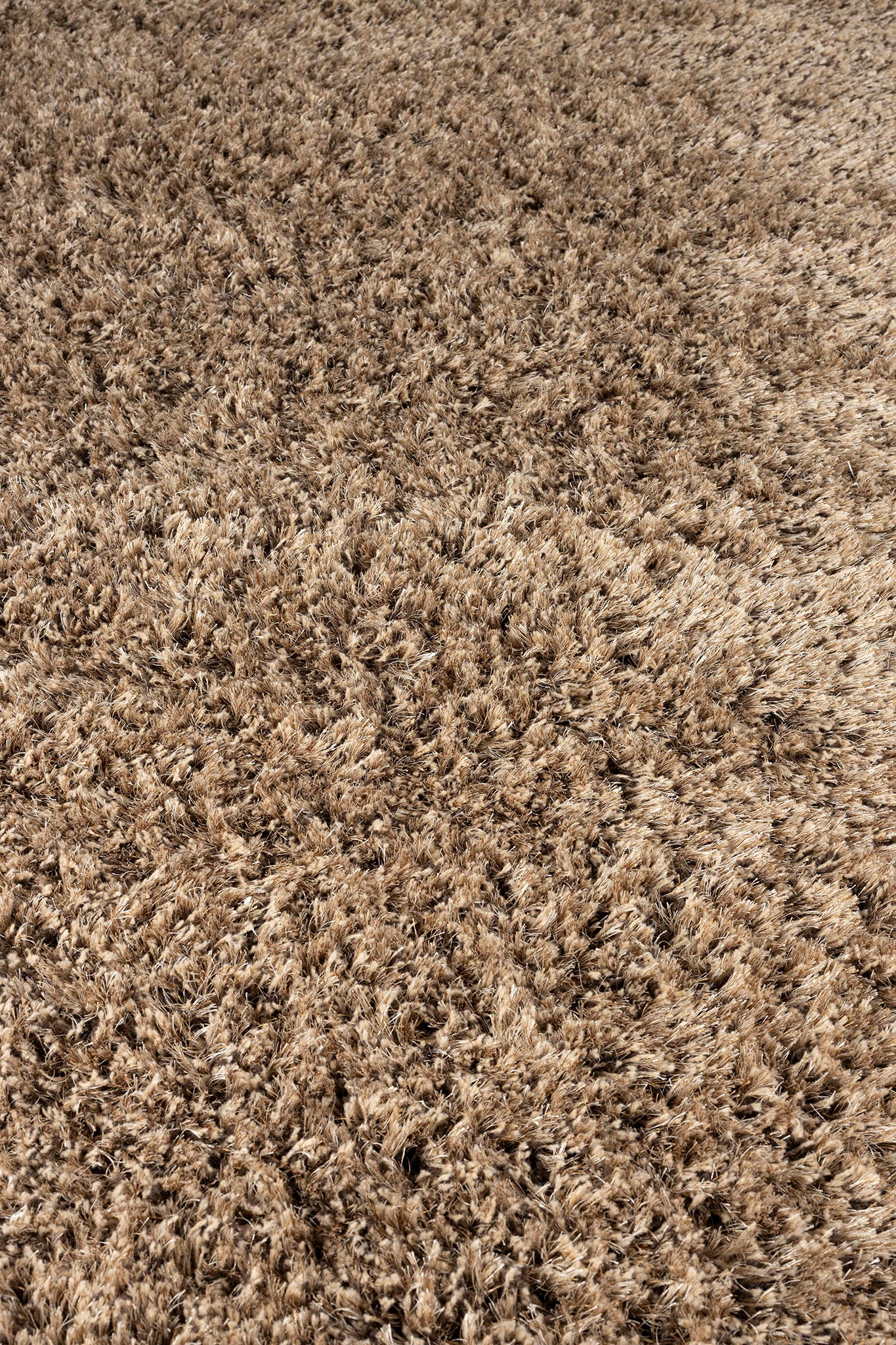 Tasty Carpet