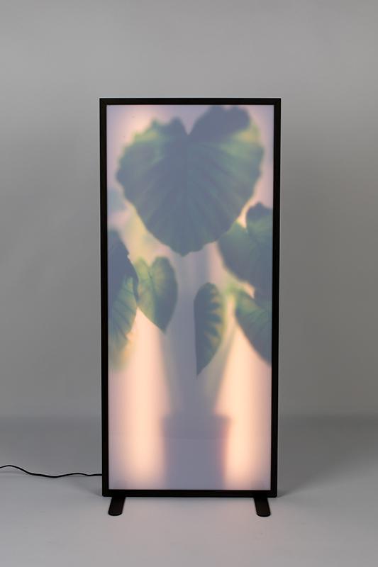 Grow XXL Floor Lamp - WOO .Design