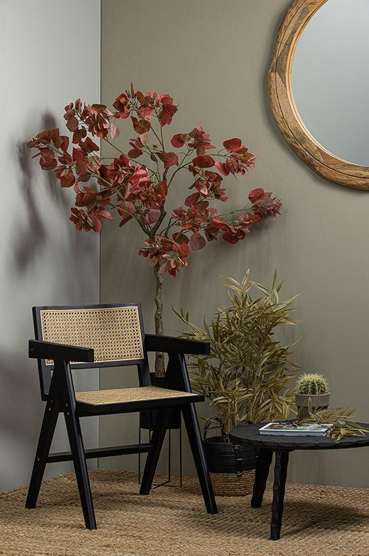 Gunn Pine/Rattan Dining Chair - WOO .Design