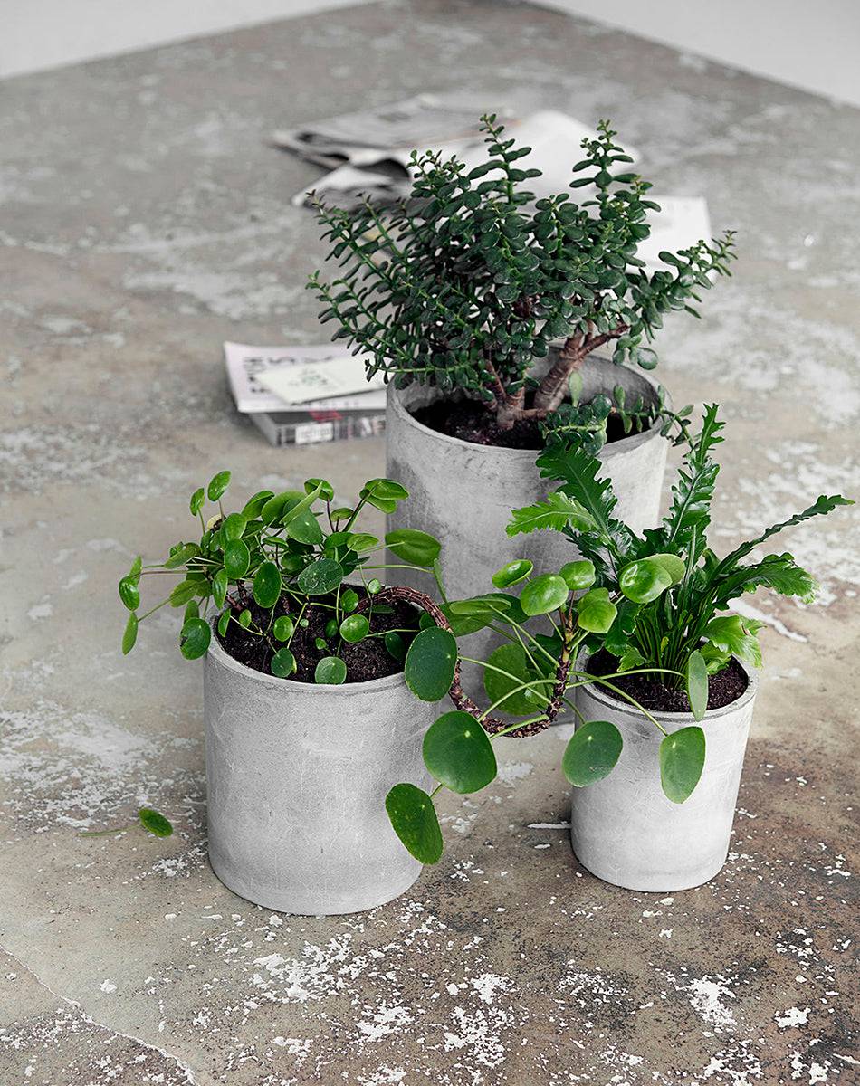 Ave Light Grey Planter (3/Set)