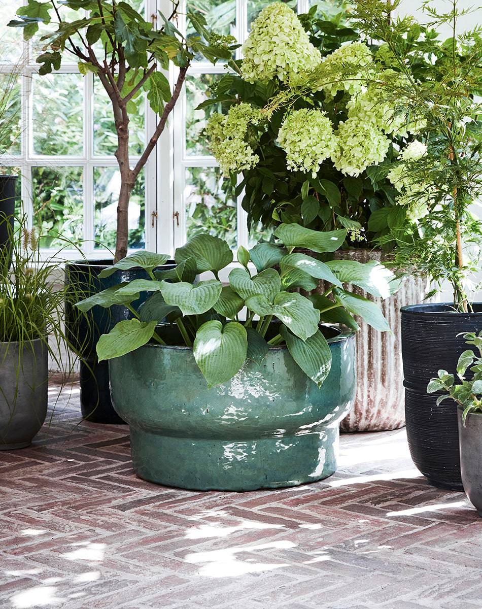 Terra Green Low Planter