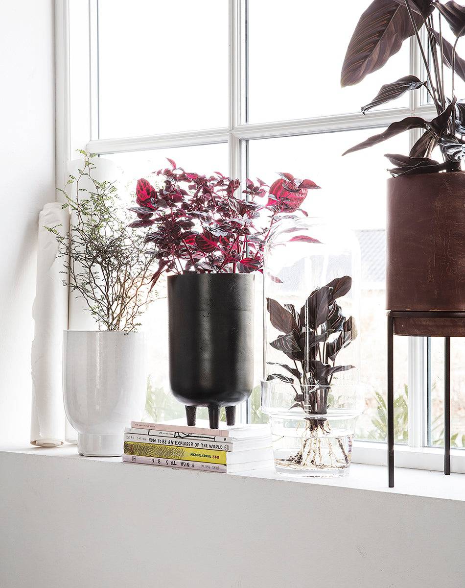 Jang Black Planter