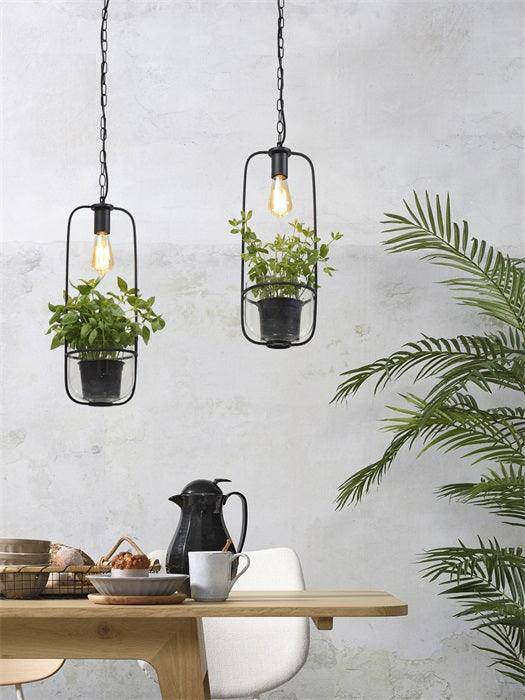 Florence Hanging Lamp with Plant Holder