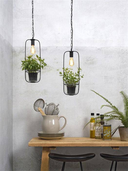 Florence Hanging Lamp with Plant Holder