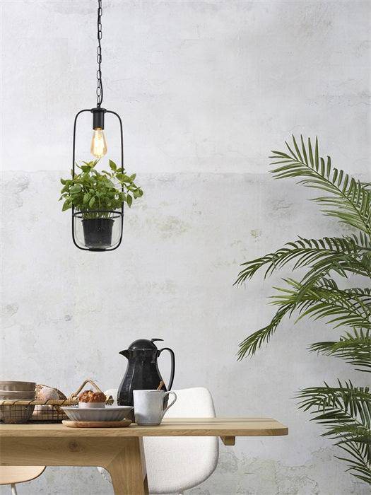 Florence Hanging Lamp with Plant Holder