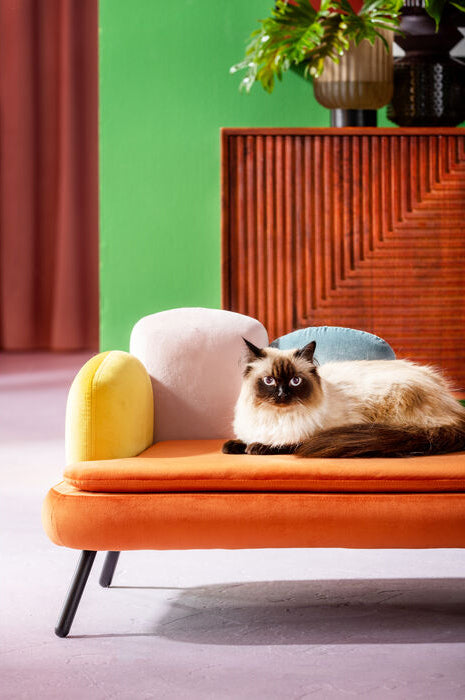 Diva Orange Dog/Cat Bed