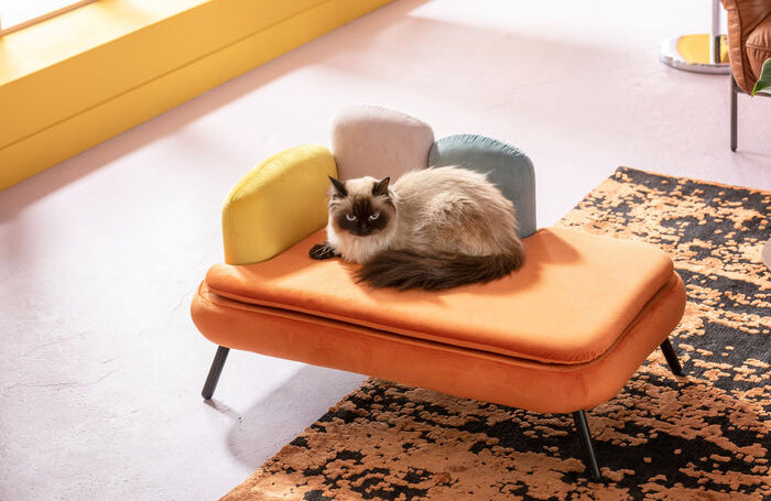 Diva Orange Dog/Cat Bed