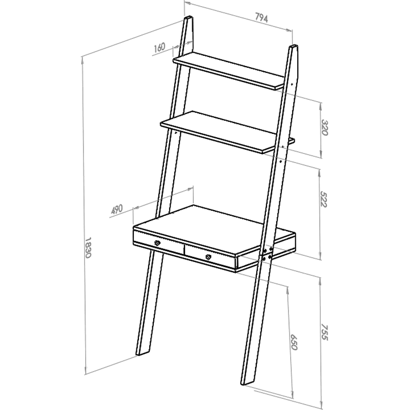 Leno Ladder Shelf Desk