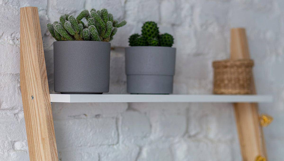 Leno Ladder Shelf Desk